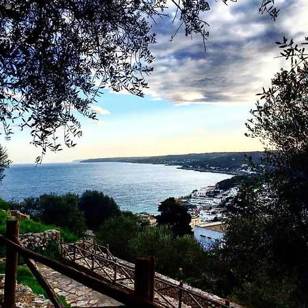 La Rosa Antica Bed & Breakfast