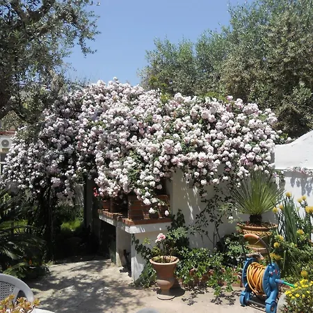 Frühstückspension La Rosa Antica Castro (Lecce)