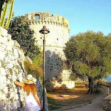 La Rosa Antica