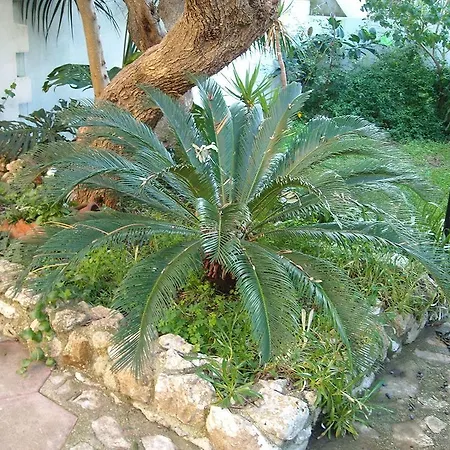 Bed & Breakfast La Rosa Antica